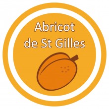 Conception graphique de l'étiquette du parfum Abricot des biscuits Saint Louis de Lafitau